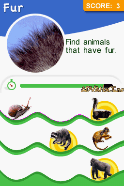 Animal Genius screenshot 3 for Nintendo DS